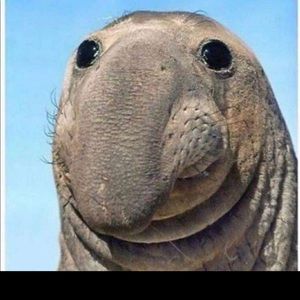 Meet your Posher, Kevin